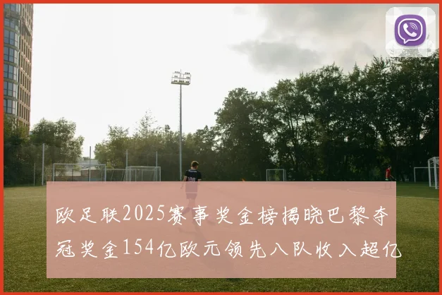 欧足联2025赛事奖金榜揭晓巴黎夺冠奖金154亿欧元领先八队收入超亿