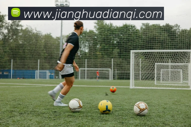 华体会平台生态图